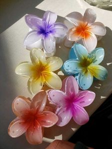 Colorful Flower Hair Clature 🌸