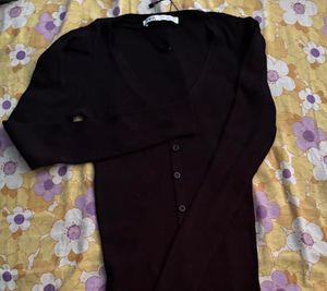 Zara Bodycon Dress