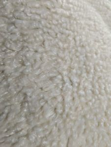 Cozy Cream Sherpa Hoodie