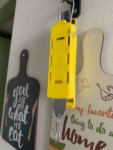 Spring Balance In Newton&#39;s And Grams