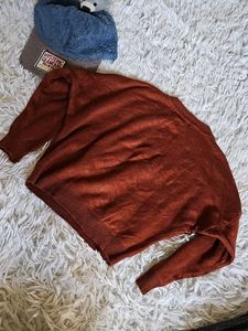 Chipmunk Graphic Sweater