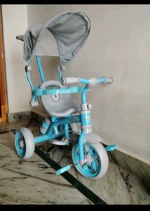 ToysRus Premium Tricycle Form Toys R Us