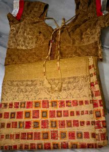 Party Saree