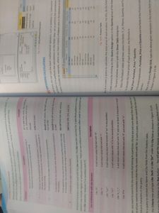 Class 10 IT Information Technology Book