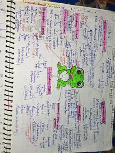 Handwritten Biology Notes