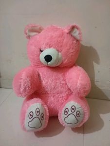 Pink Teddy For Kids