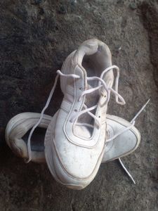 Nice White Campus Shoes.