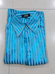Blue Striped Shirt