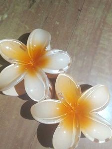 Flower Hair Claw Clips