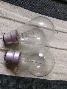 Pack Of 2 100W Bulb