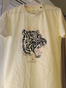 Duke Lime Casual T Shirt Men