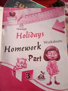 Holiday Homework Worksheet