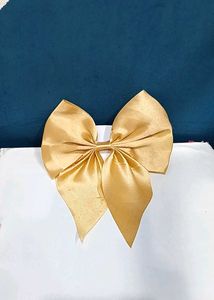 Aesthetic Bow Hair Clips (3pc)