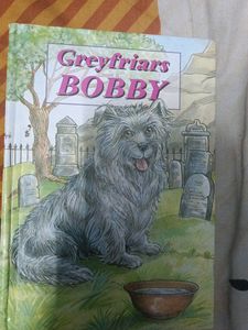 Greyfiers bobby