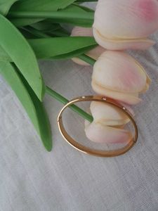 Cartier Love Bracelet (Anti Tarnish)