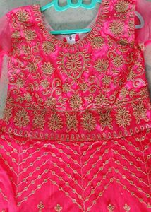 Elegant Pink Net Embroidered Party Gown for Women