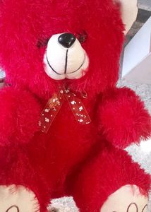 Red Teddy