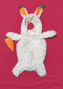 small dog and cat  Rabbit Dress