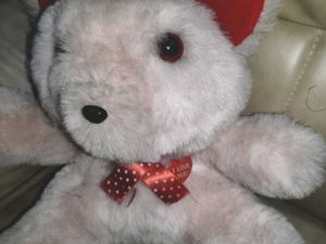 Teddy Bear Medium Size