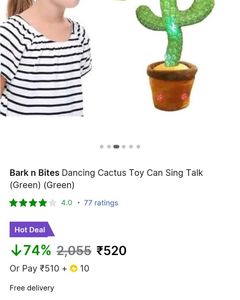 Singing Nd Dancing Cactus