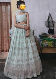 New Pista Color Lehenga Choli Set