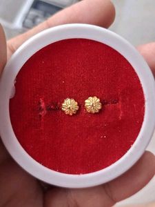 Beautiful New Flower 🌼 Desine Studs