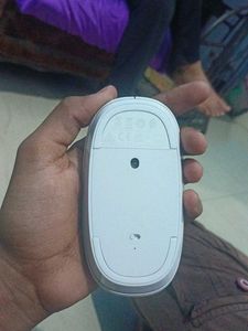 HP Wireless Mouse
