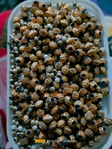 Golden Makta Beads