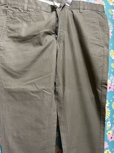 Olive Green Formal Pant