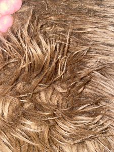 Fur Rug