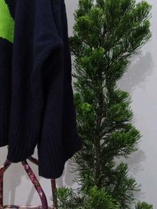 H&amp;M Dino Sweater