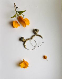 Jhumka From The Golden Edition (Part 2)