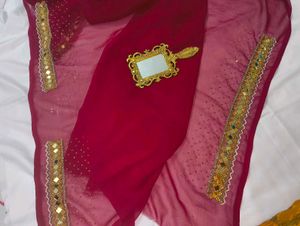 Elegant Maroon Embellished Saree