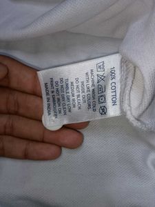 US Polo White Tshirt size M