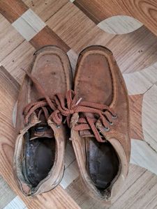Casual Brown Shoes