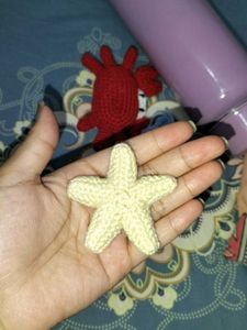 Crochet  Star Firsh Keychain