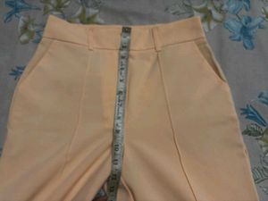 Formal Pant