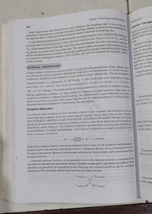 An Amazing Book