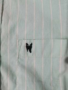 Striped Button-Down Shirt