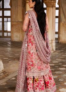 Pakistani Suit