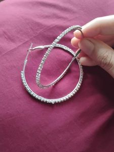 Silver Stone Earrings