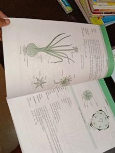 Biology Experiments Class 11