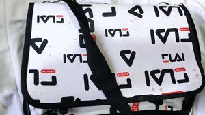 Nice Carry Bag For Kittens Or Small Cat