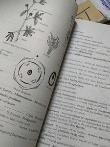 +2 Botany Class XI Textbook