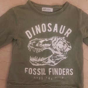 Boys/Unisex H&amp;M Military Green Dinosaur Sweatshirt