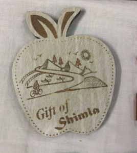 Souvenir Magnets from diff countries and cities