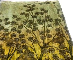 Beautiful Saree with Gorgeous Print