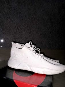 White Ripe TJ Sneakers