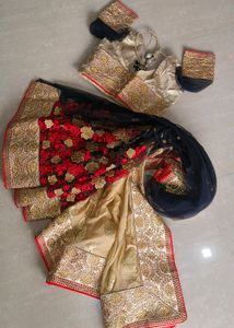 Regal Beige Saree Zardosi and Black Net Accents