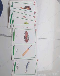 Flash Cards